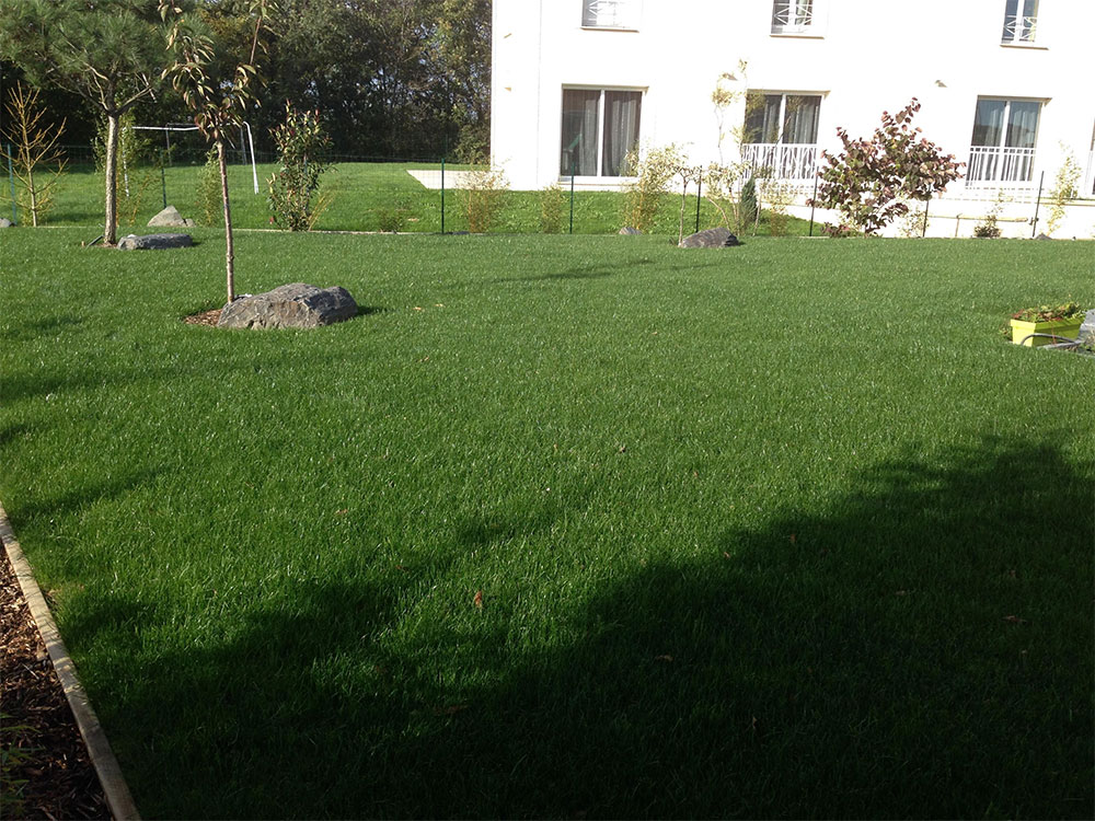 création de pelouse